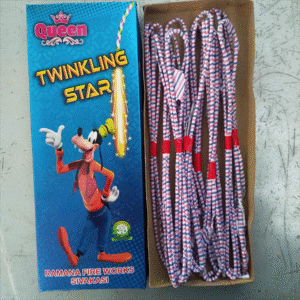 4' twinkling star