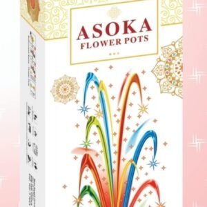 flower pot asoka